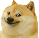innocentdoge innocentdoge