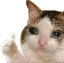 Cat_thumbs_up