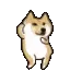 6586_doge_danc