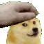 doge_pat