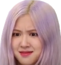 RoseWtf Discord emoji