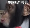 MonkeyPog MonkeyPog