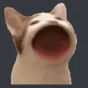PogCat