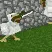 discordfight discordfight
