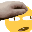 petingconfusion