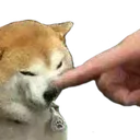 DoggoNoHorny DoggoNoHorny