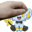 shinxpet