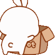 bunnyhide