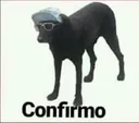Confirmo