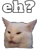 smudgecat