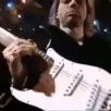 kurtspit