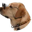 saywhatky2