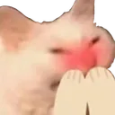 heehee