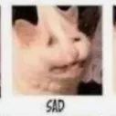 sad