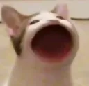 aaaaa