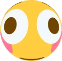 floshed_ex