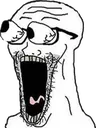 soypog soypog