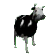 cowJAM