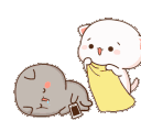 K_5
