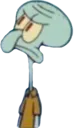 wtfsquid