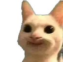 GpMeow Discord Emoji