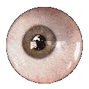 eyees