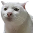 dafuqyouwant dafuqyouwant