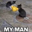MyMan