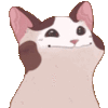 Cat Discord Emoji