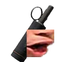 voggers