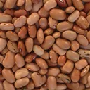 Beans