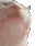 catjam catjam