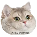 IBcatheavybreathing Discord Emoji