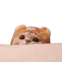 ThixPeek