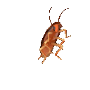 Dancing Roach dancingroach Discord Emoji