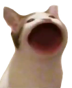 popcat Discord emoji