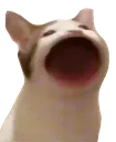 popcat Discord Emoji