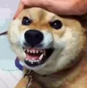 no