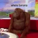 monke1