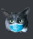 coronaviruscat Discord Emoji