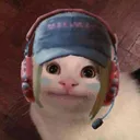 urban_catter Discord Emoji