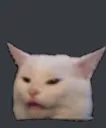 Confusedcat confusedCat Discord Emoji