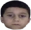 bruhdude bruhdude