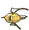 ShinyKarpador