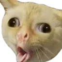 BoinK BoinK