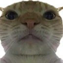 Hellocat Discord Emoji