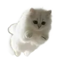 FloofProtecc Discord Emoji