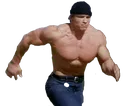 LariGenks
