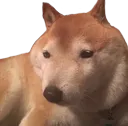 Bepis