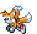Tails1